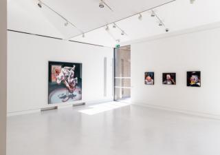 Ben Quilty: Free Fall, 2021. Installation image, Cromwell Place. Photo by Lucy Emms