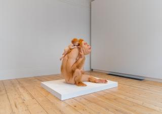 Patricia Piccinini: Kindred, 2021. Installation image, Cromwell Place. Photo by Lucy Emms