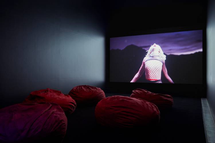 Del Kathryn Barton, the highway is a disco, National Gallery of Victoria, Installation view 18