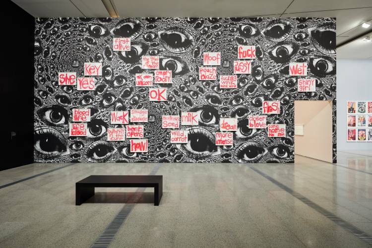 Del Kathryn Barton, the highway is a disco, National Gallery of Victoria, Installation view 7