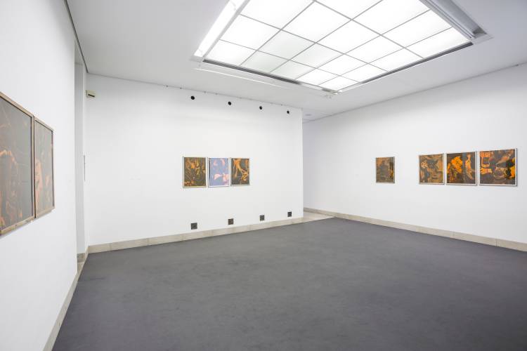 Rodel Tapaya, Bright Coloured Butterflies, Galerie Sindelfingen, Installation view 10