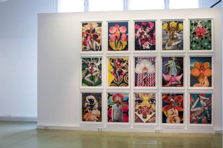 Terra Incognita, Hilger Brotkunsthalle, Vienna, Arndt Art Agency, Installation view 14